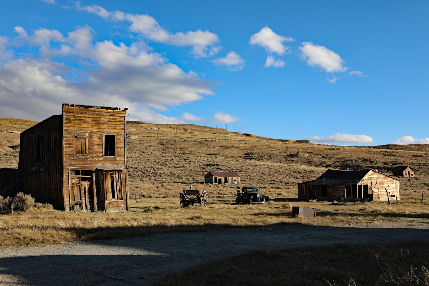 The Gold Rush Meets the Living Dead: A New Chapter