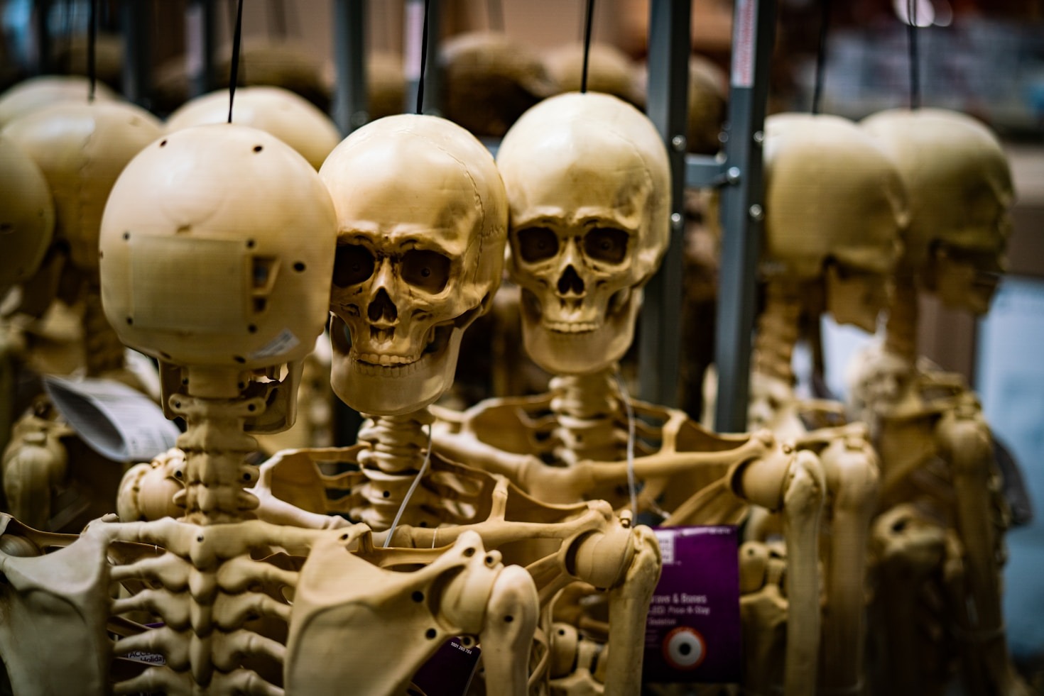 5 Reasons R. L. Trapp Redefines Historical Horror